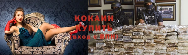 соль ск Магас