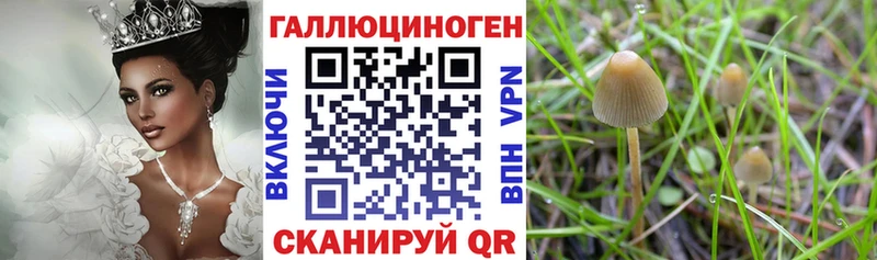 даркнет сайт  Электросталь  Галлюциногенные грибы MAGIC MUSHROOMS 